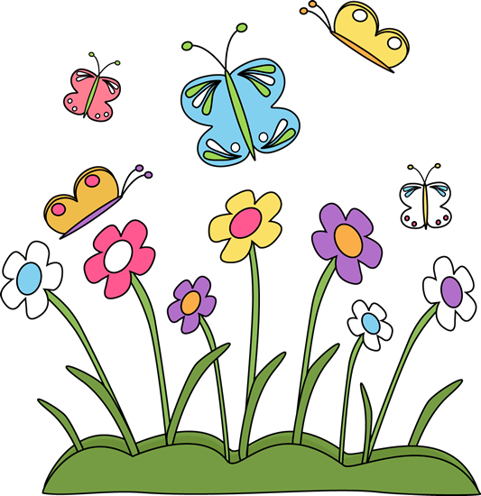 Butterflies Butterflies