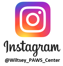 instagram paws 