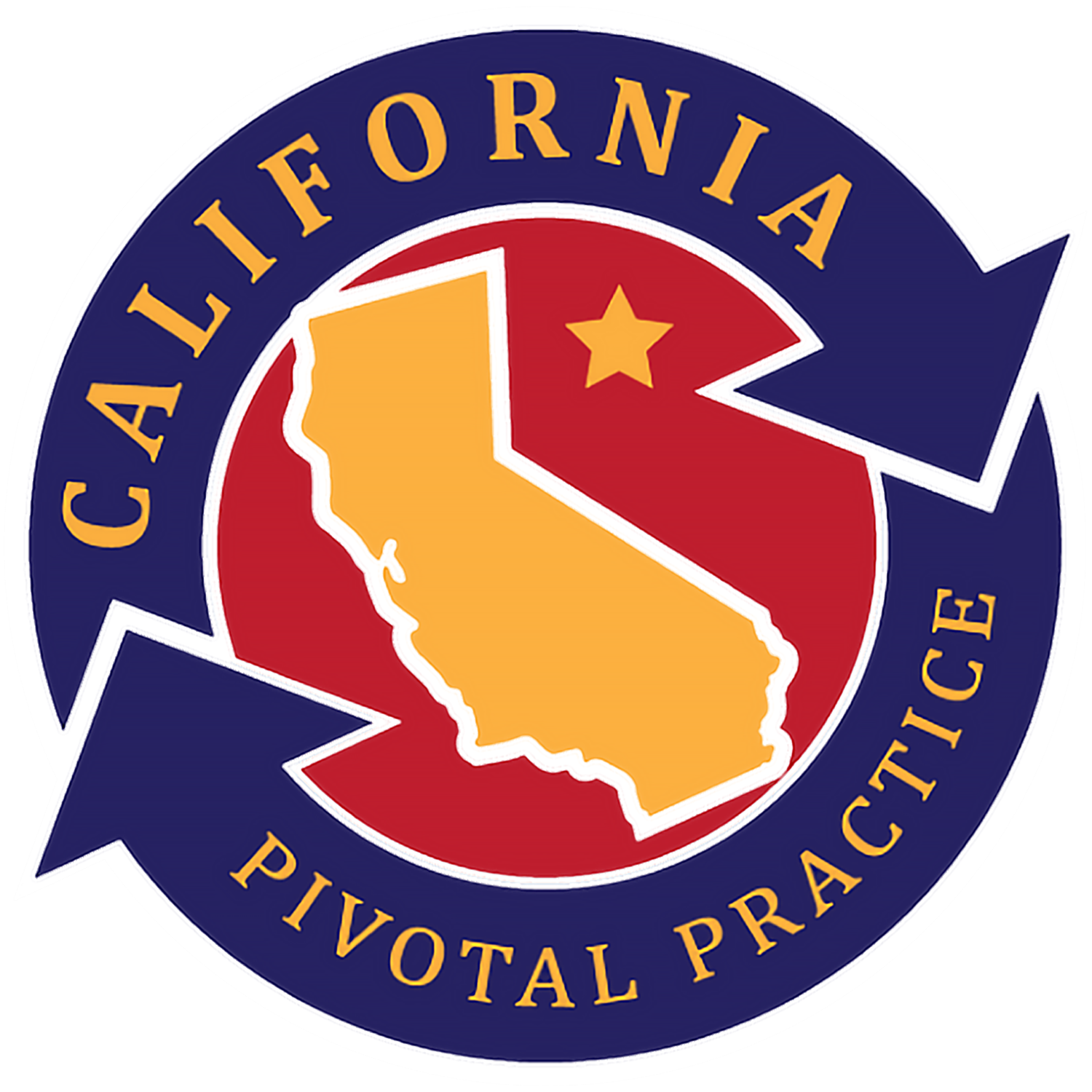 Pivotal Practice Award Logo