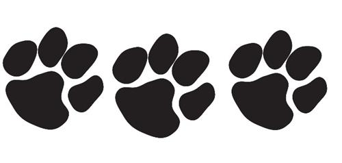 Paws2 