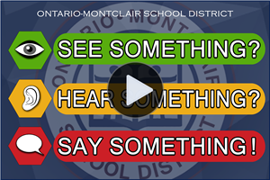 Video - TicTok Public Service Announcement - See Something, Hear Something, Say Something.