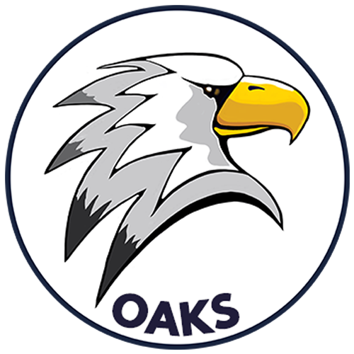 Logo - Circle Navy border with giant stylized eagle head looking to the left majestically 